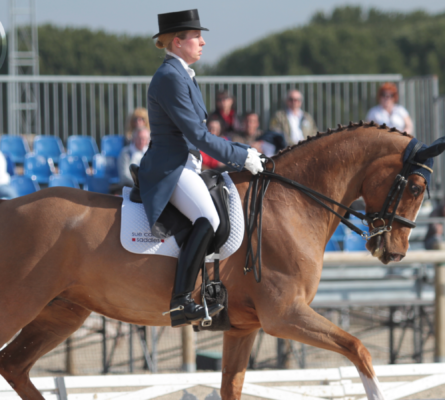 Sjoholm-Patience BHS Registered Instructor, Coach and Dressage Training throughout Sussex and Surrey